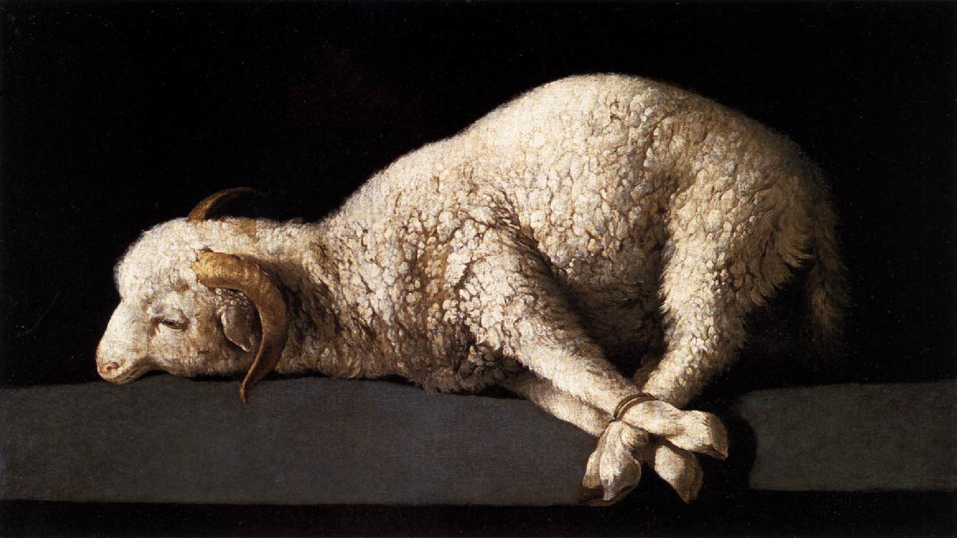 Behold the Lamb